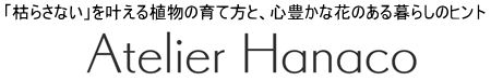 アトリエはなこ