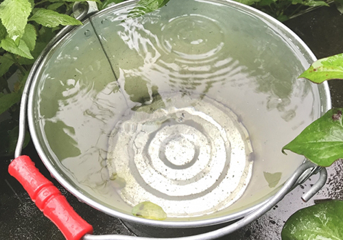 雨水貯金